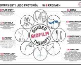 Po higienizacji można jeść, gdy biofilm i kamień zostaną usunięte, a zęby zabezpieczone fluorem.
